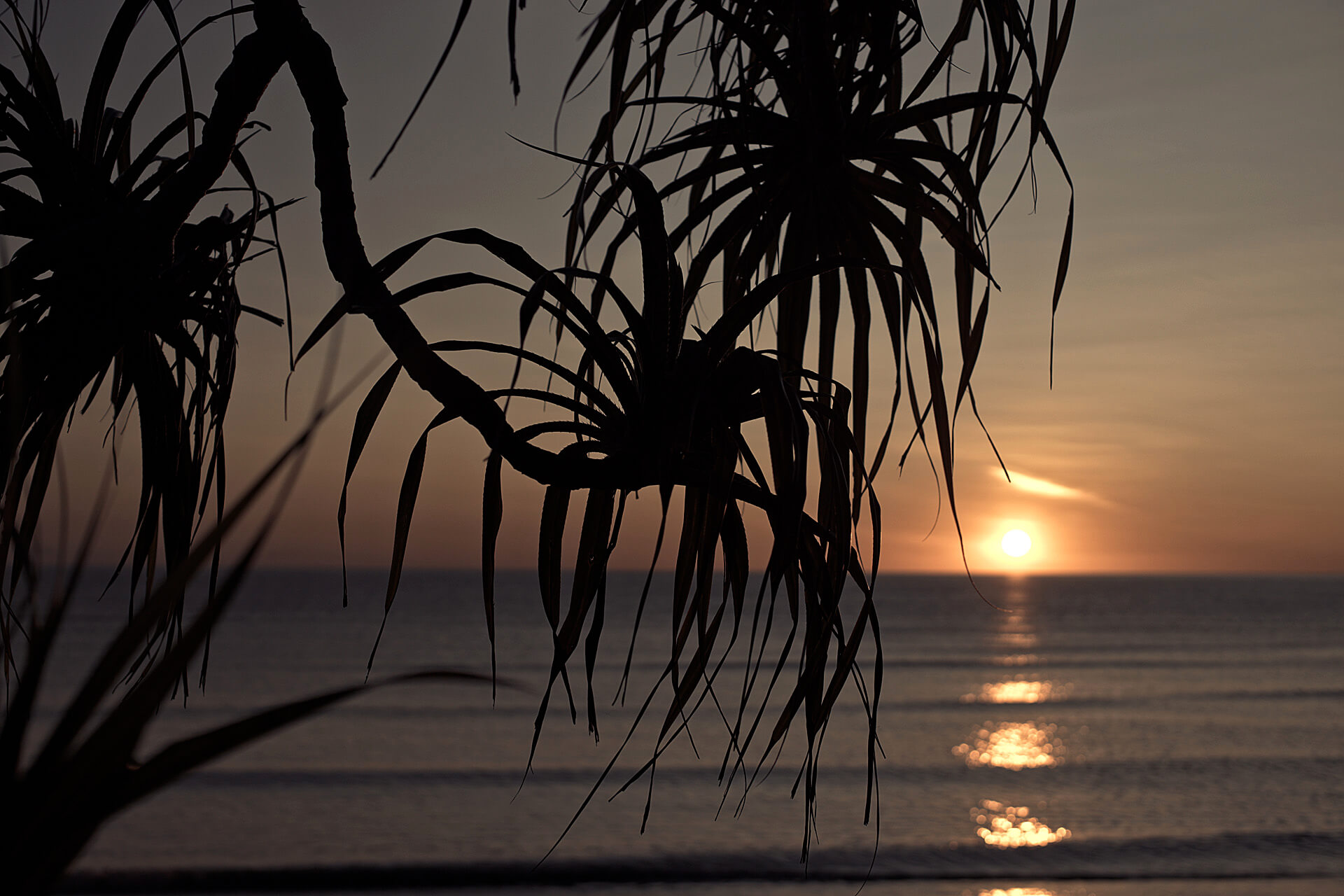 Sunset over the ocean